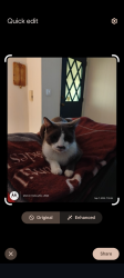 Lost Male Cat last seen his home on Rancho Vista Rd. close to Alessandro & Alexandra. star car wash would be the Landmark, Riverside, CA 92508
