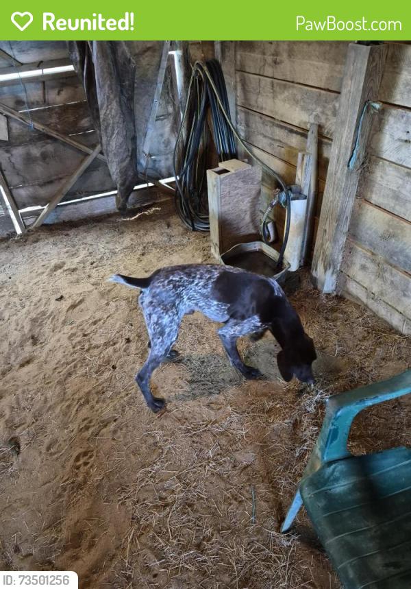 Reunited Male Dog last seen Garner Chapel Rd and Jim Best Rd, Duplin County, NC 28578