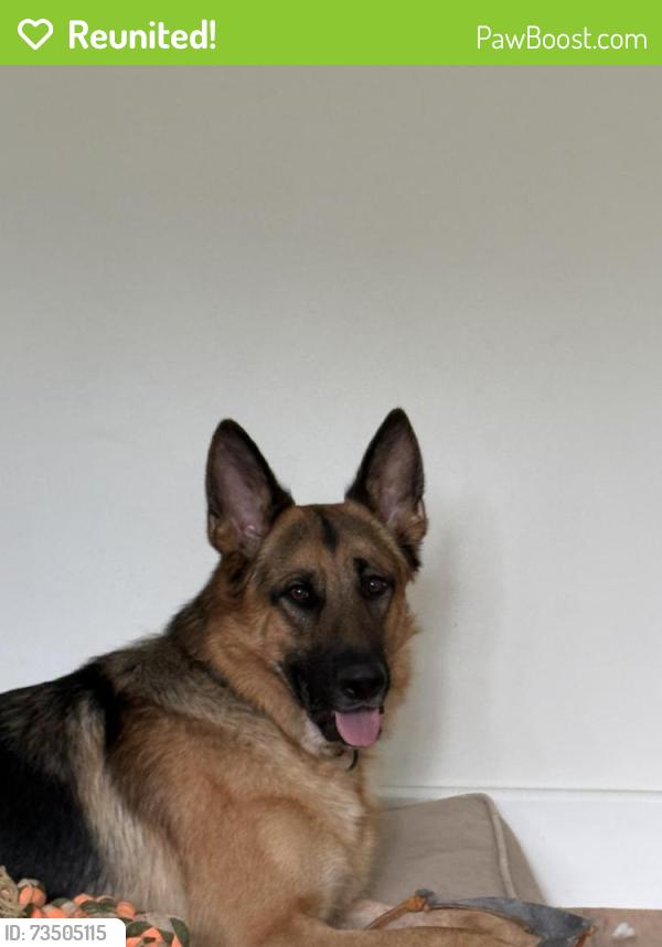 Reunited Male Dog last seen Air view lane and Seneca, Great Falls, VA 22066