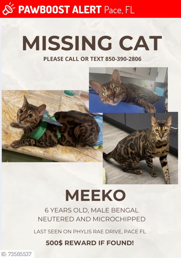 Lost Female Cat last seen Ashley plantation subdivision, Pace, FL 32571