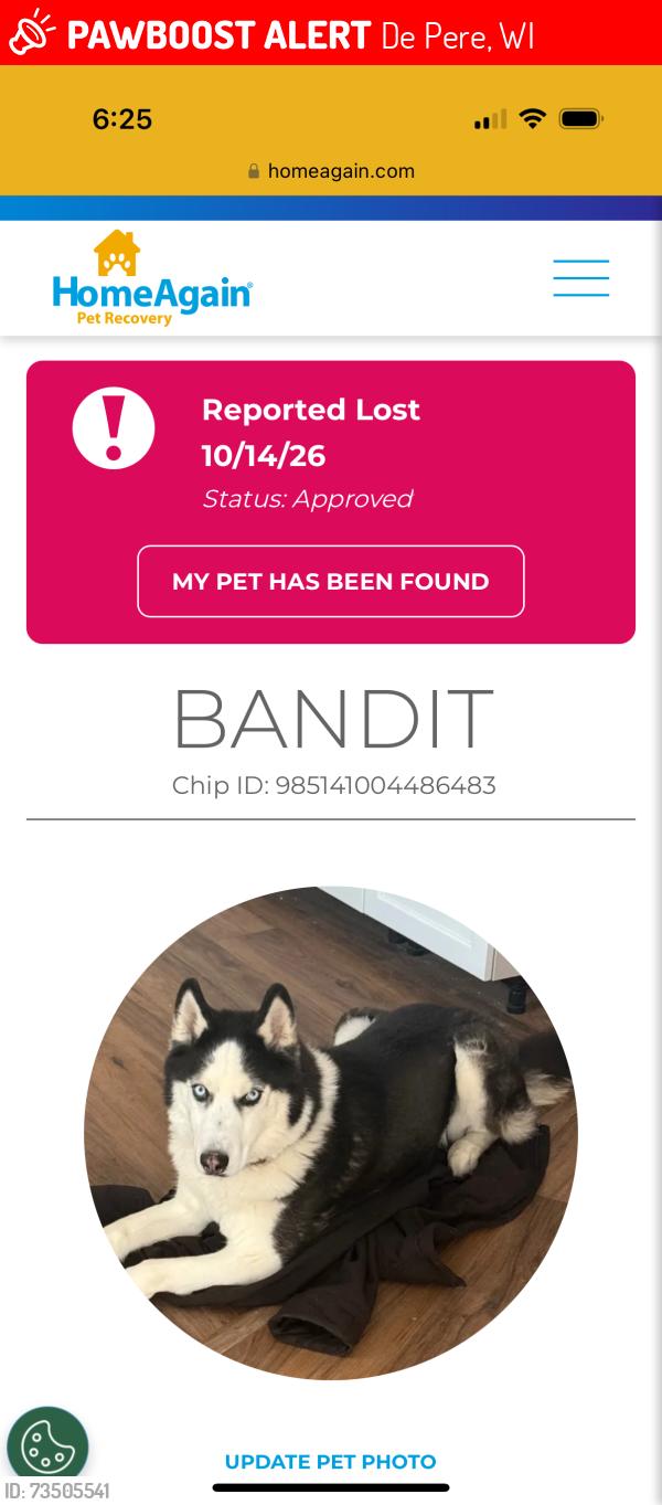 Lost Male Dog last seen Fernando Drive, De Pere, WI 54115