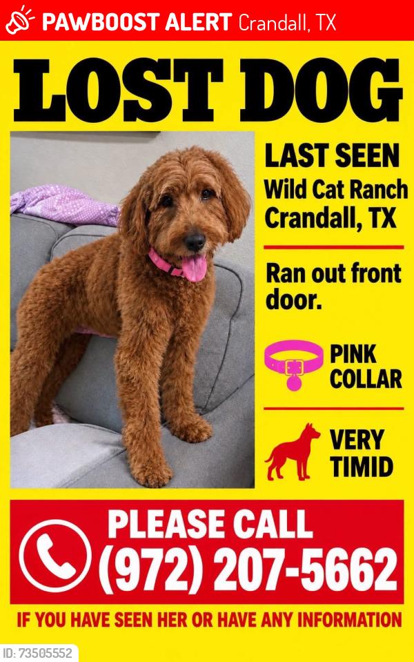 Lost Female Dog last seen Phase 7, Crandall, TX 75114