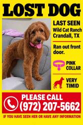 Lost Female Dog last seen Phase 7, Crandall, TX 75114