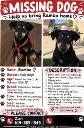 Reunited Male Dog last seen Idaho and citrus ave, Escondido, CA 92027