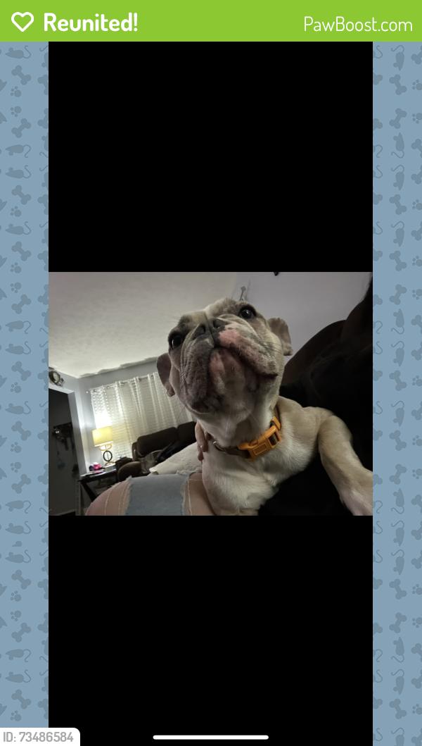 Reunited Male Dog last seen Near Cedar and Cavanaugh, Lansing, MI 48910