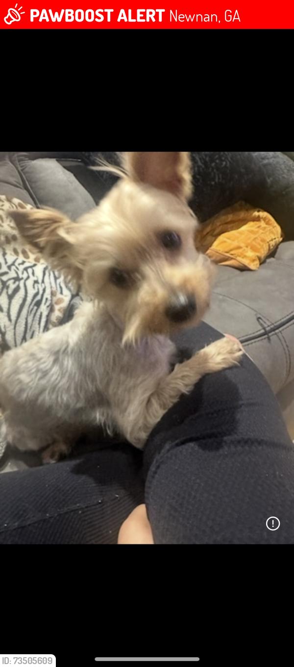 Lost Female Dog last seen Baker Rd, Newnan, GA 30265
