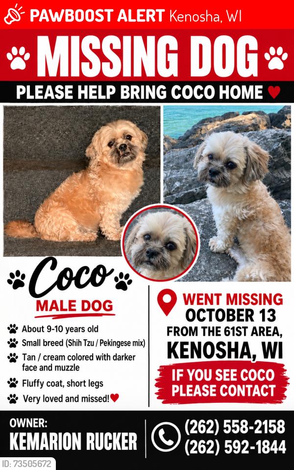 Lost Male Dog last seen Near 61 st, Kenosha, WI 53143