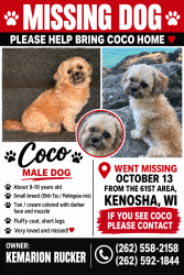 Lost Male Dog last seen Near 61 st, Kenosha, WI 53143