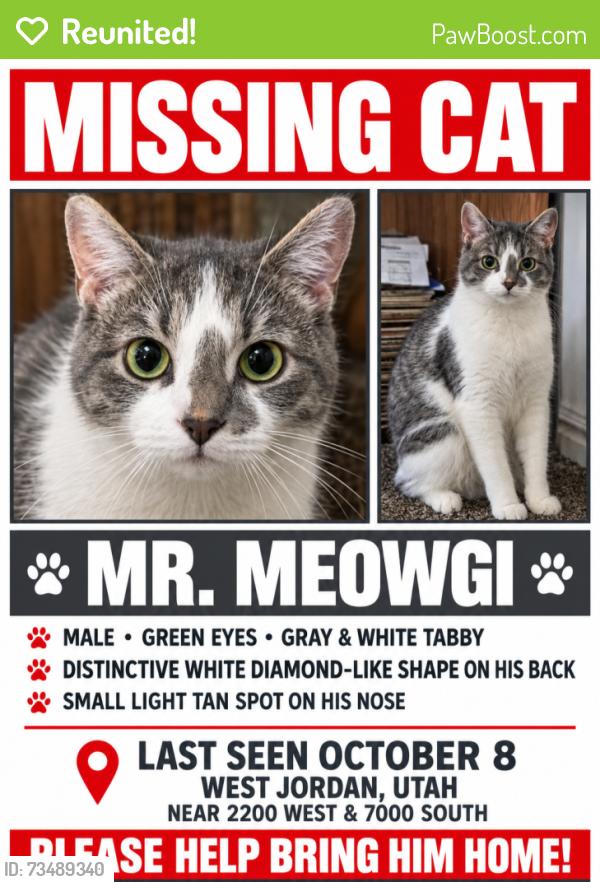 Reunited Female Cat last seen Near west 70 th south, West Jordan, UT 84084