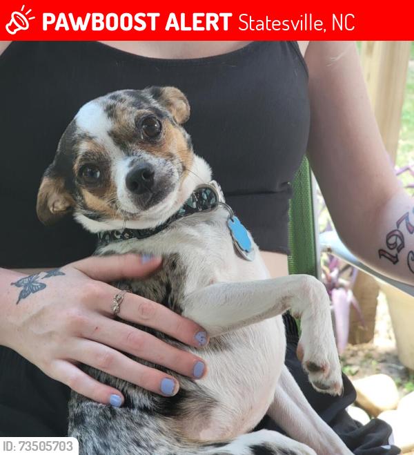 Lost Male Dog last seen Seventh st by the park, Statesville, NC 28677