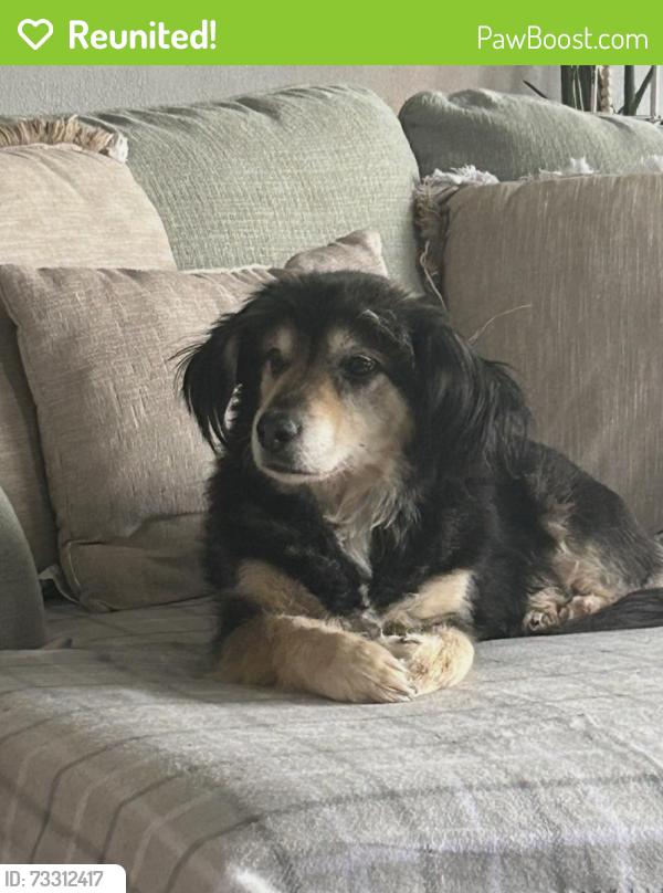 Reunited Male Dog last seen Kinzers pa, Lancaster County, PA 17535
