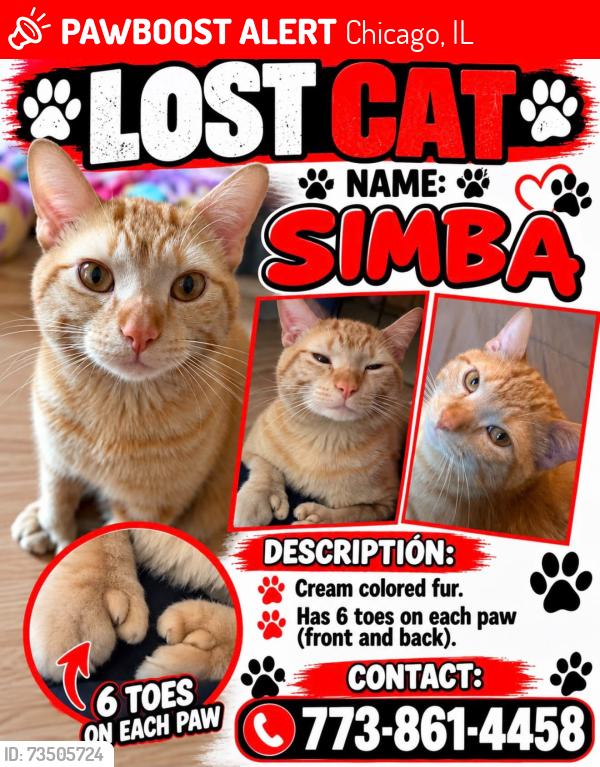 Lost Male Cat last seen Division & California, Chicago, IL 60622