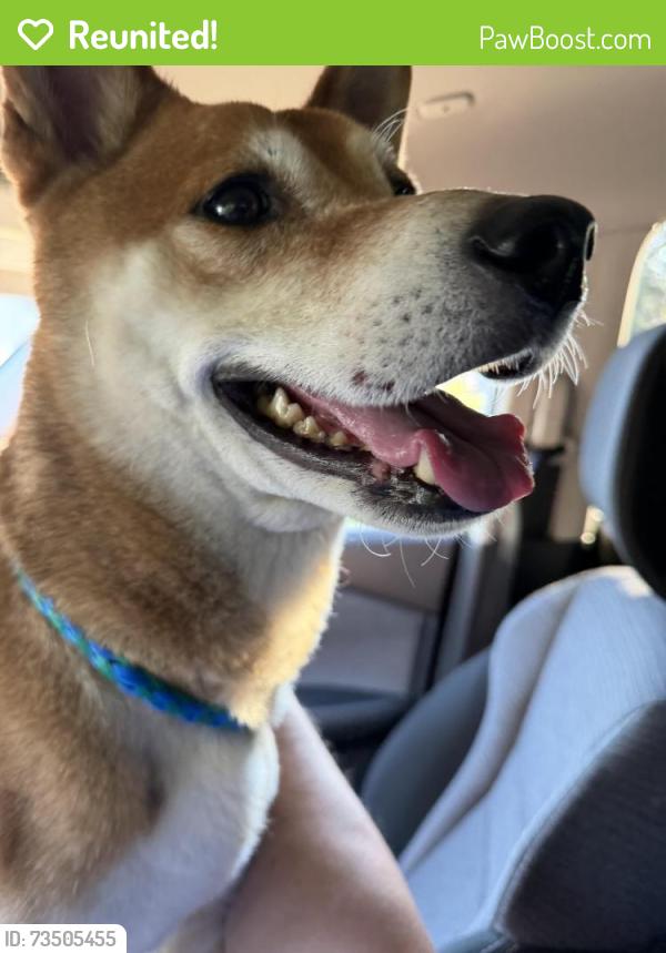 Reunited Male Dog last seen Glenside Drive and Bethelhem, Richmond, VA 23228