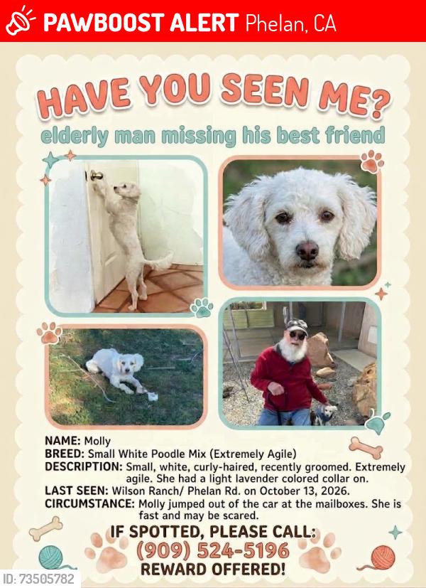 Lost Female Dog last seen Wilson Ranch, Phelan, CA 92371