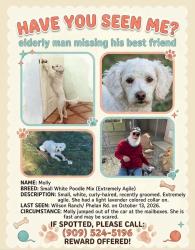 Lost Female Dog last seen Wilson Ranch, Phelan, CA 92371
