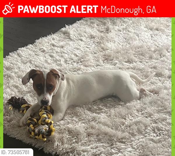 Lost Female Dog last seen Mcdonough, McDonough, GA 30253