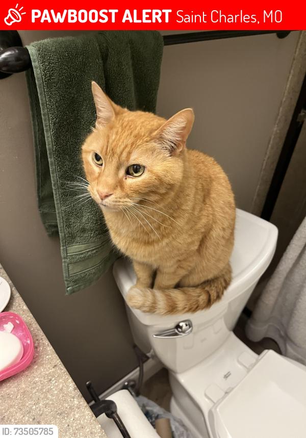 Lost Male Cat last seen Caulks Hill and Harvester, Saint Charles, MO 63304
