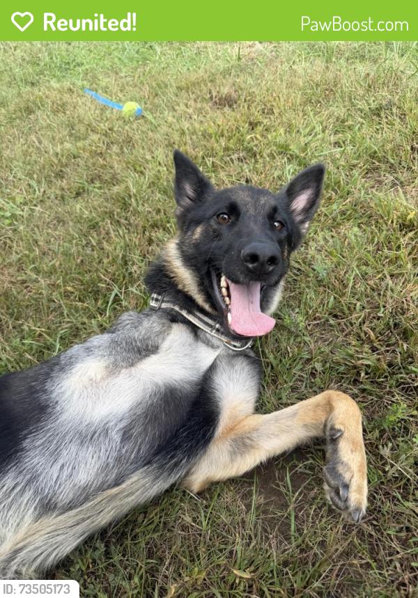 Reunited Female Dog last seen S northern blvd, Independence, MO 64050