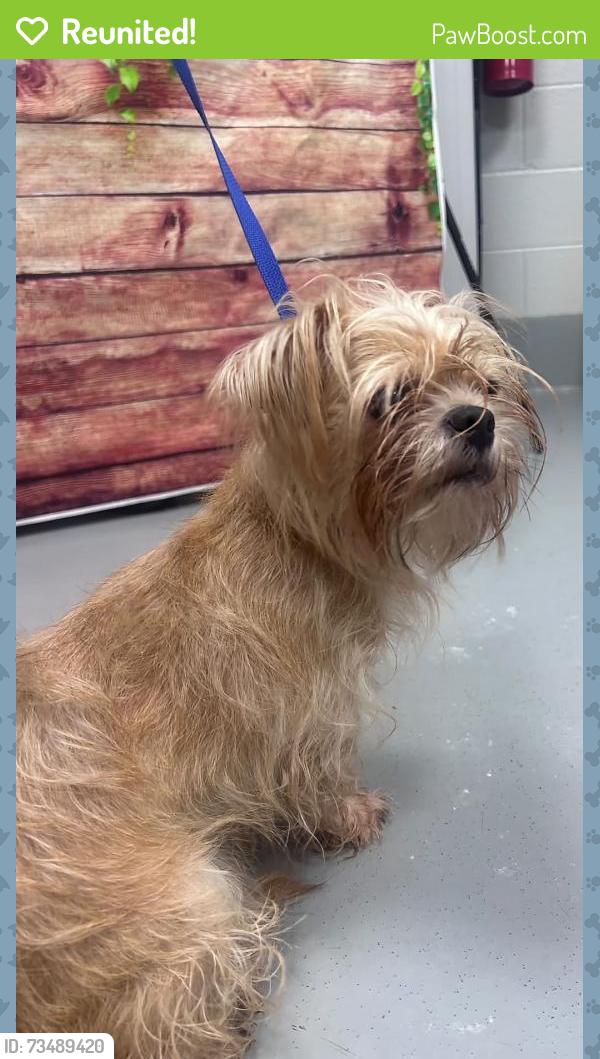 Reunited Unknown Dog last seen Located at Rockdale County Animal Service, 1506 Rockbridge Road, Conyers, GA 30012, Conyers, GA 30012