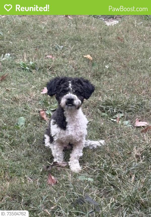 Reunited Male Dog last seen McDowell Rd, Richmond, VA 23225, USA, Richmond, VA 23225