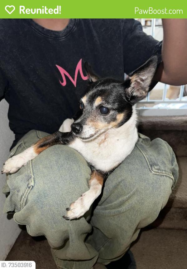 Reunited Unknown Dog last seen Near NE 26th Ave Vancouver, WA 98665 United States, Vancouver, WA 98665
