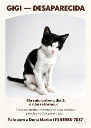 Lost Female Cat last seen Pet shop, Vila Cruzeiro, SP 04727-030