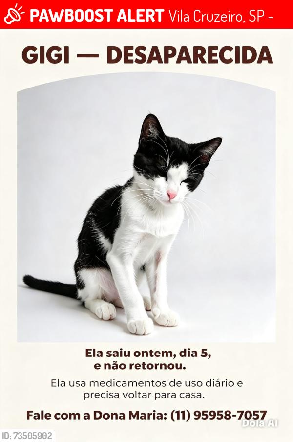 Lost Female Cat last seen Pet shop, Vila Cruzeiro, SP 04727-030