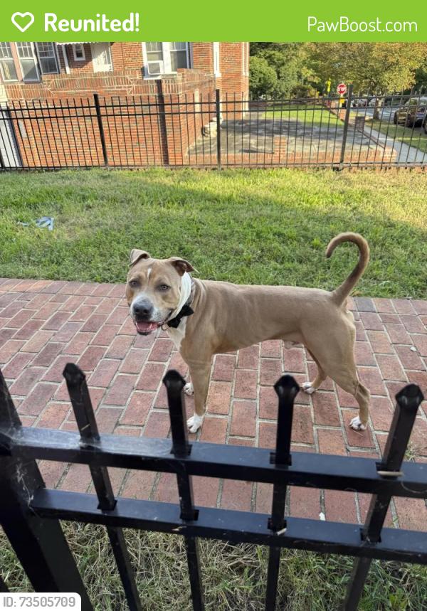 Reunited Male Dog last seen Kansas & Gallatin, Washington, DC 20011