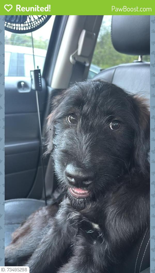 Reunited Female Dog last seen Located on Hwy 27 in Dayton near Sale Creek. Approximately 1.5-2 miles away from Walmart, Sale Creek, TN 37373