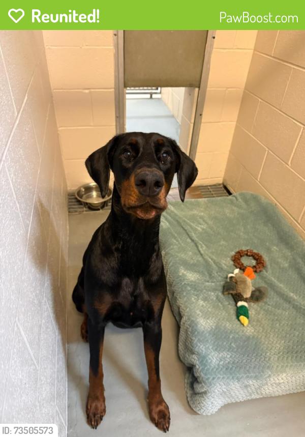 Reunited Male Dog last seen Rannie Street, Jacksonville Beach, FL 32250