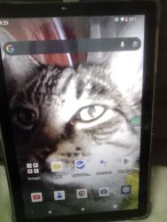 Lost Male Cat last seen Emerson, Fircrest, WA 98466
