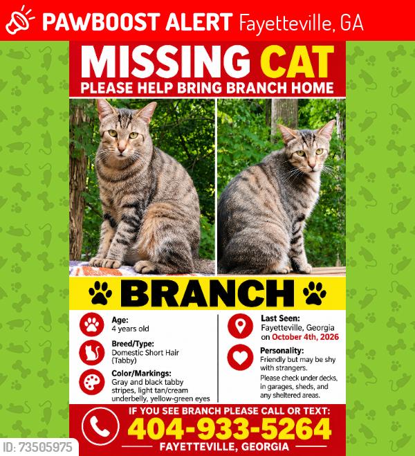 Lost Male Cat last seen Hwy 314, Fayetteville, GA 30214