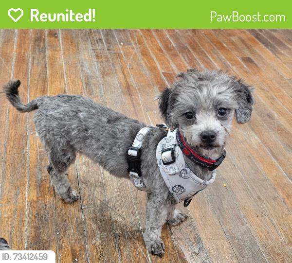 Reunited Female Dog last seen Lake Air and Sanger Ave, Waco, TX 76710