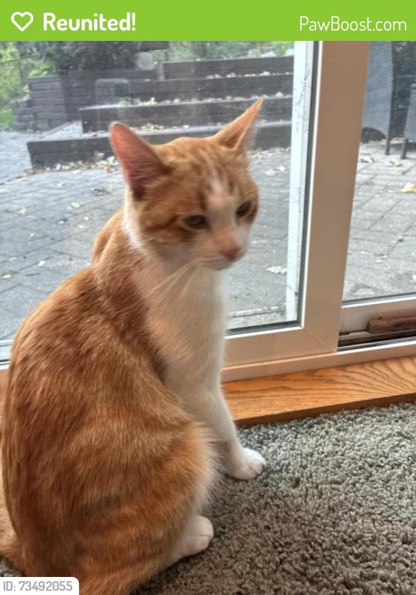 Reunited Male Cat last seen 140th and pennock Ave, Apple Valley, MN 55124