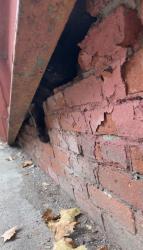 Found/Stray Male Cat last seen Across from public school 30. Black cat is underneath the bridge. Between the railing and the brick. He might be stuck., New York, NY 10035