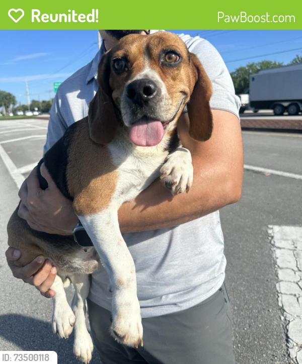 Reunited Male Dog last seen Southern boulevard by twin sisters towing Florida, Palm Beach County, FL 33411