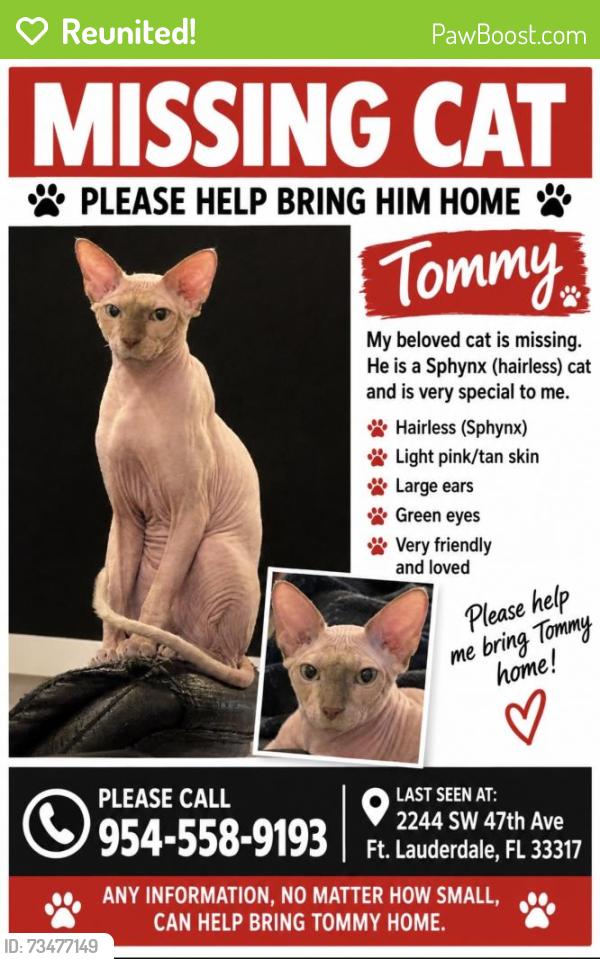 Reunited Male Cat last seen Near Sw 47th ave, Fort Lauderdale, 33317, Broward County, FL 33317