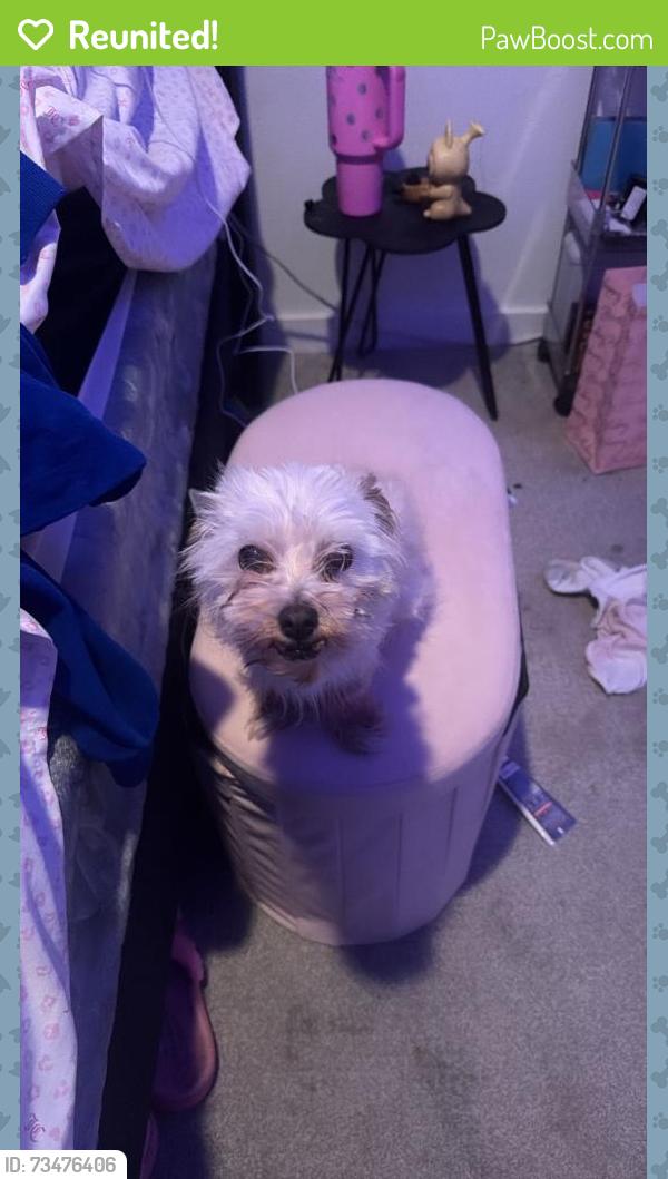 Reunited Male Dog last seen Yosemite and Oxford Dr, Denver, CO 80237