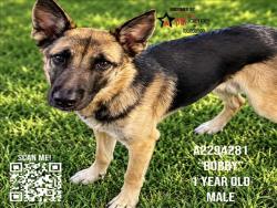 Shelter Stray Male Dog last seen , 3201 Lacy St, Los Angeles, CA 90031, USA