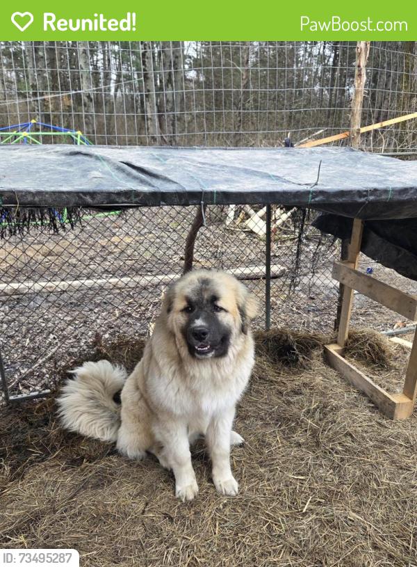 Reunited Male Dog last seen Stillwell beckett rd, woodmoor dr., Oxford, OH 45056