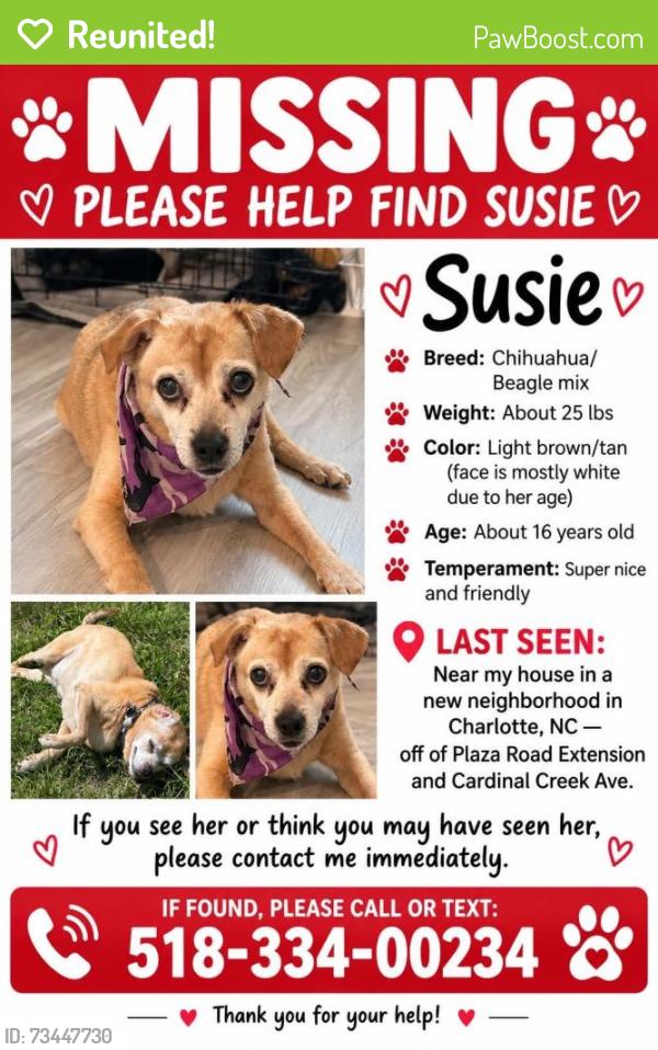 Reunited Female Dog last seen Not sure, Charlotte, NC 28215