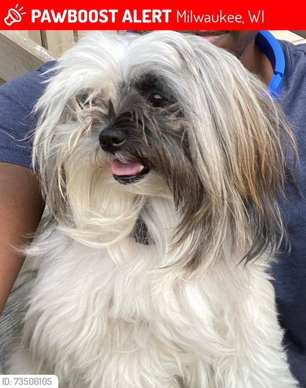 Lost Female Dog last seen N 28TH STREET & W CLYBOURN STREET, Milwaukee, WI 53208