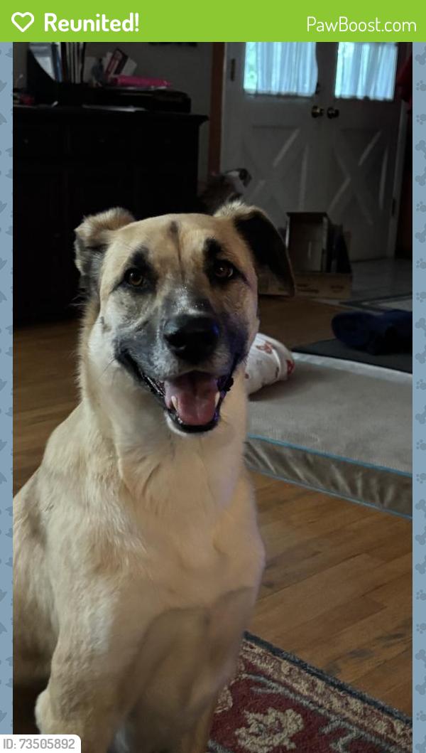 Reunited Male Dog last seen Hempstead Rd and Whitney Way, Madison, WI 53711