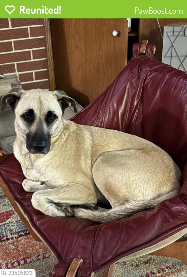 Reunited Female Dog last seen Hempstead Rd and Whitney Way, Madison, WI 53711