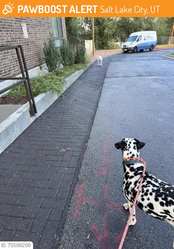 Found/Stray Unknown Dog last seen Near e riches ave, near the rv on property, Salt Lake City, UT 84106