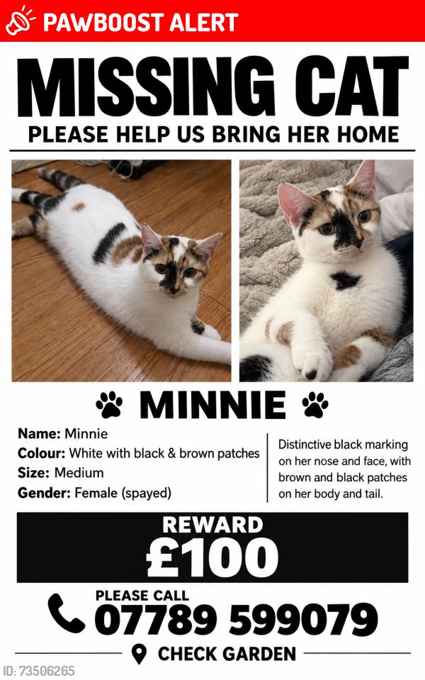 Lost Female Cat last seen Churchill road, West Midlands, England 