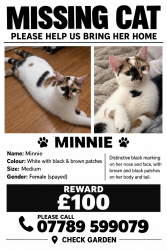 Lost Female Cat last seen Churchill road, West Midlands, England 