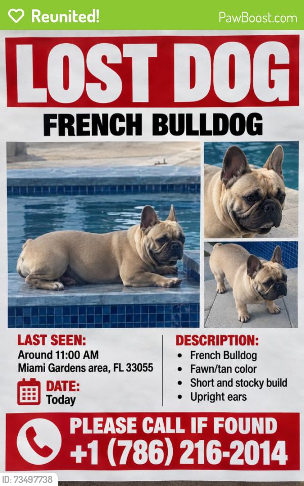 Reunited Female Dog last seen Miami Gardens 47ct, Miami Gardens, FL 33056