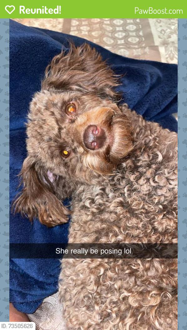 Reunited Female Dog last seen MORNINGSIDE DR IN COOSA, Floyd County, GA 30165