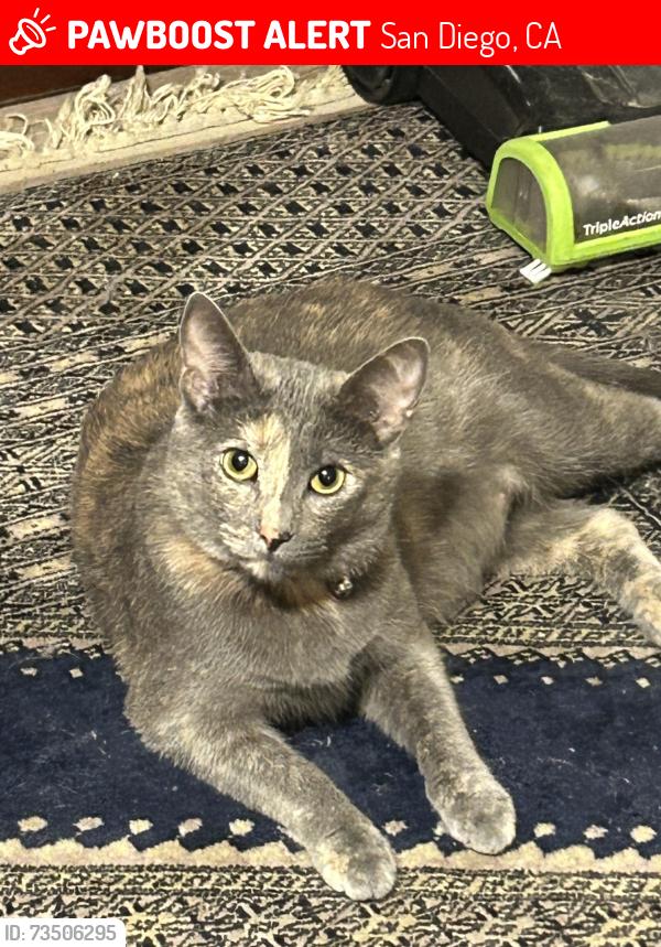 Lost Female Cat last seen Turnbridge, San Diego, CA 92119